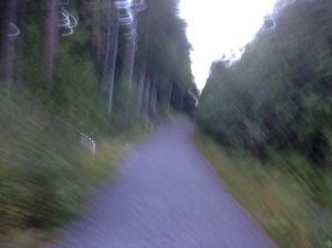 Cykelväg i Viskafors